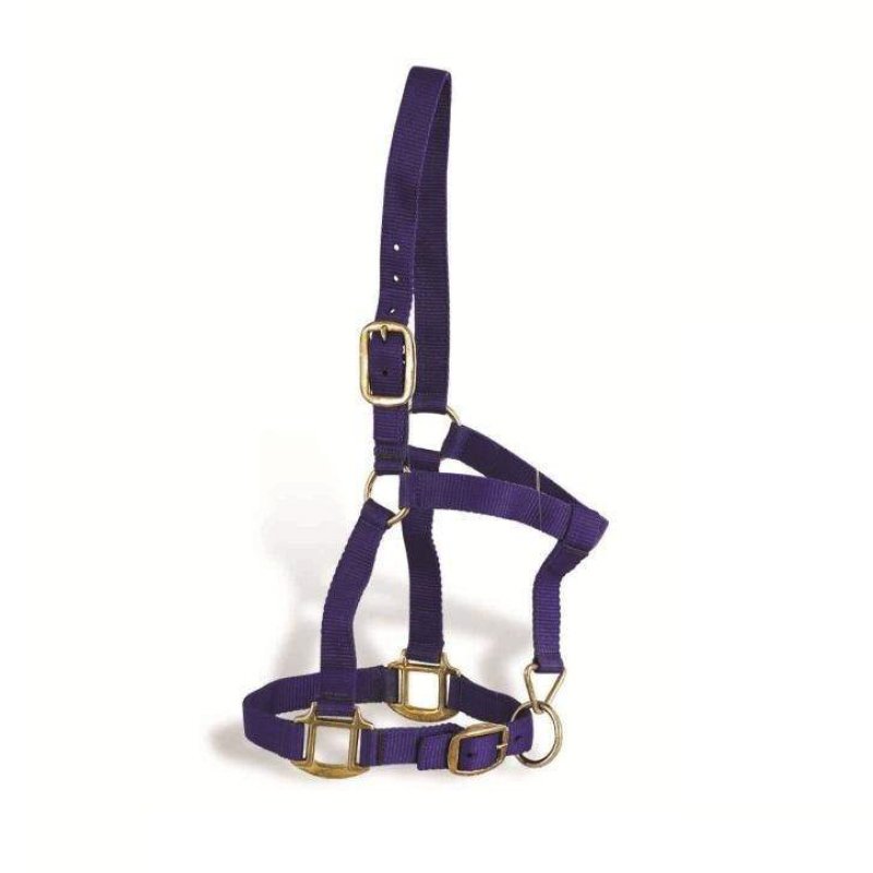 Nylon Halters