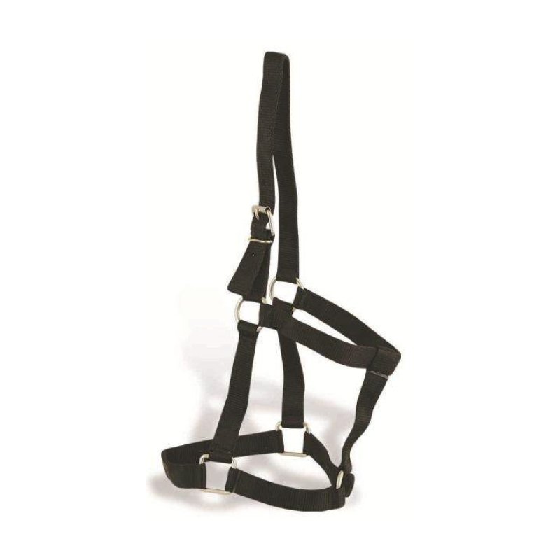 Nylon Halters