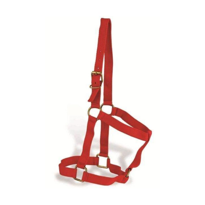 Nylon Halters
