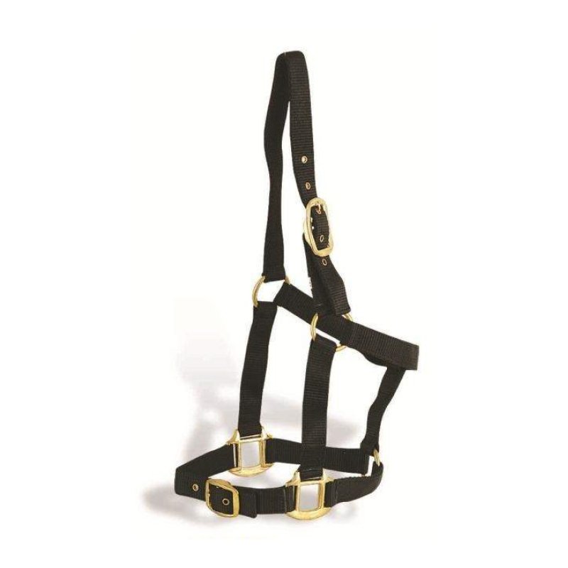 Nylon Halters